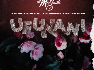 1665738592 DOWNLOAD-PureVibe-–-Ufunani-ft-Robot-Boii-MJ-DJ-Mic.webp