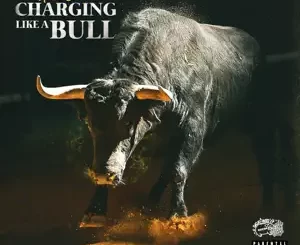 Charging-Like-a-Bull-Hitta-Slim