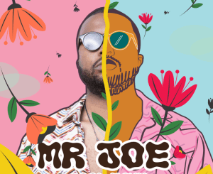 mr-joe-–-a-good-time