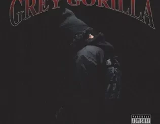 Grey-Gorilla-Ramirez