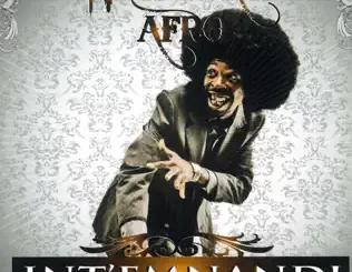 Intemnandi-Pitch-Black-Afro