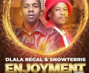 dlala-regal-snowterris-–-enjoyment