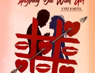 Anything You Want Girl - Single Vybz Kartel