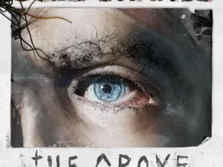 Code Orange – The Above