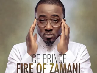 Ice Prince – Fire of Zamani