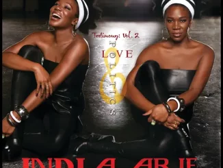 India.Arie – Testimony, Vol. 2: Love & Politics (Bonus Track Version)