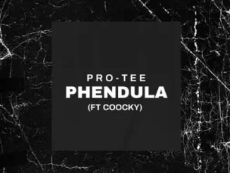 Pro-Tee & Coocky - Pendula