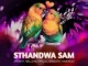 2Point1 – Sthandwa Sam ft. Bello M, Epic DJ, Seneath & X-Morizo