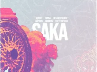 Blacko SA, Mellow & Sleazy & Carter – Saka ft. Novatron, Shuga & Scotts Maphuma