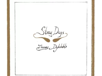 THOMAS DYBDAHL - STRAY DOGS