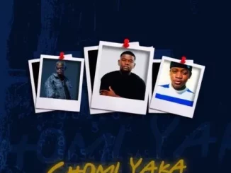 S.N.E, Theology HD & Jay Scott – CHOMI YAKA (Remix) ft. Ishuu Industry, KayStar777 & Laz Mfanaka