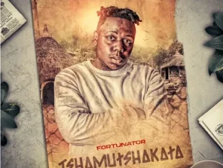 Fortunator – Tshamutshakata Album