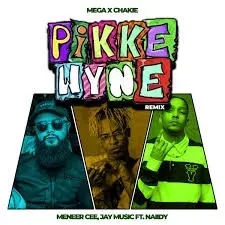 Mega x Chakie – Pikkewyne Remix ft. Meneer Cee, Jay Music & Naiidy