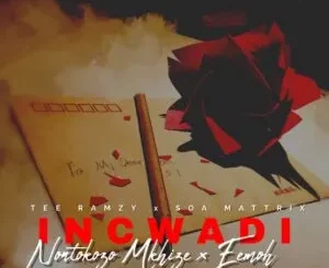 TEE Ramzy, Soa Mattrix & Nontokozo Mkhize – Incwadi ft. Eemoh