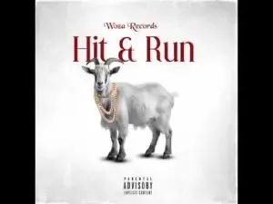 Woza Zakes – Hit & Run Feat. Woza Logan